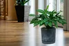 Kvetináč TUBO P BETON-EFFEKT 10,8 cm - Farba: antracitová Náhľad obrázku produktu 4
