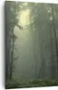 Bild auf Leinwand - Leinwandbild - Einteilig - Wald Nebel Produktbild-Vorschau 1