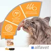 Alfavet FeliGum Hairball 40 g | Kaudrops für Katzen | Produktbild-Vorschau 2
