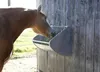 A horse eating from a feeder attached to a wooden wall. Anteprima dell’immagine prodotto