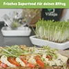 Vitaja Sprossenglas Keimglas Set mit Keramikschale - Set Produktbild-Vorschau 6