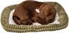 Perfect Petzzz Chocolate Labrador 96231 Podgląd zdjęcia produktu 4