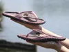 Gumbies scarpe Australian, 2225 Anteprima dell’immagine prodotto 10