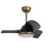 Ventilateur de plafond Parrot Uncle 76,2 cm avec éclairage Voir les images du produit 3