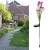 A garden path with solar powered flower lights leading to a house. Anteprima dell’immagine prodotto