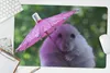 MuchoWow® Schreibtischunterlage Hamster mit rosa Produktbild-Vorschau 5