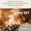 HAF Saunaaufguss Set „Waldfrische“ - 6 x 250ml Sauna Produktbild-Vorschau 2
