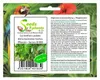 10x Cyclanthera pedata Hörnchenkürbis Garten Pflanzen - Produktbild-Vorschau 1
