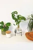 Flora Hydro Vase avec support métallique Voir les images du produit 5
