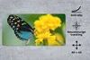 MuchoWow® Schreibtischunterlage Schmetterling - Blume - Produktbild-Vorschau 2
