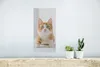 MuchoWow® Poster Kätzchen - Blau - Orange - Mädchen - Produktbild-Vorschau 5