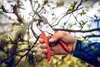Záhradné nožnice orig.Löwe 1.104 celková d.210mm rezná Náhľad obrázku produktu 3