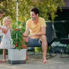 Gusta Garden TOM TOMATO 3er-Set, hellgrau Produktbild-Vorschau 14