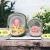 Mr. & Mrs. Panda Bonbonglas Avocado Pärchen XL 2000ml - Produktbild-Vorschau 4