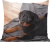 MuchoWow® Zierkissen Sofakissen Wohnzimmer Dekokissen 45x45 Produktbild-Vorschau 1