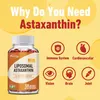 Liposomale astaxanthine 24 mg (120 capsules) – Productafbeelding-voorbeeld 4
