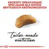 Royal Canin British Shorthair Kitten, Kocięta, Brytyjski Podgląd zdjęcia produktu 9