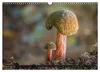 Kunstgalerie Wald - die verborgene Welt der Pilze Produktbild-Vorschau 6