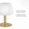 Stolní LED lampa PAUL NEUHAUS 4078-60 matná mosaz, 2,6 W, Náhled obrázku produktu 6