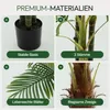 Meisterhome Areca Kunstpalme 180 cm – Große Tropische Produktbild-Vorschau 7
