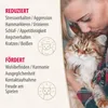 Felisept Home Comfort Spray für Katzen 100 ml Produktbild-Vorschau 4