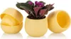 Lot de 7 pots de fleurs avec drainage 0,55 L pour cactus, Voir les images du produit 10