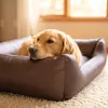 4L Textil Mario Orthopädisches Hundebett aus Kunstleder Produktbild-Vorschau 5