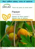 SAFLAX Ensemble-cadeau - Papayer - 30 graines - Carica Voir les images du produit 1