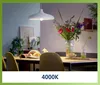 Philips lampadina a filamento opaco 75 W A60 E27 Anteprima dell’immagine prodotto 9