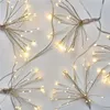 LED světelný řetěz – svítící trsy, nano, 2,35 m, vnitřní, teplá bílá, časovač Anteprima dell’immagine prodotto