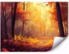 Selbstklebende Fototapete Ein sonniger Herbstwald in Produktbild-Vorschau 1