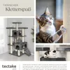 tectake® Kratzbaum Knuti 186 cm inklusive 2 Treppen, 4 Produktbild-Vorschau 6
