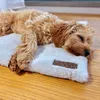 A small, fluffy dog is sleeping on a soft mat on a wooden floor. Produktbild-Vorschau