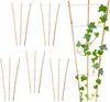 3.08 Bambus Pflanzenstütze ca. 75x35 cm in natur - 6 Stück Produktbild-Vorschau 1