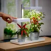 LED Pflanzenlampe Pflanzenleuchte Gewächslampe 30W Grow Produktbild-Vorschau 5