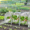 TolleTour Serra in plastica, serra, serra con porta, Anteprima dell’immagine prodotto 4