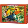 CASTORLAND Puzzle Barevní tukani 3000 dílků Produktbild-Vorschau 2
