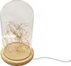 Goobay 60340 Cloche en verre avec micro-chaîne lumineuse Voir les images du produit 10