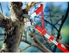 WOLF-Garten 71ACA004650, Amboss-Astschere, 3,8 cm, Produktbild-Vorschau 8
