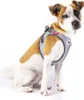 Curli Glow Clasp Vest harnais gris réfléchissant XL Voir les images du produit 10