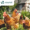 VOUNOT® Drahtgitter 0.5x10m, Maschenweite 25 mm, Produktbild-Vorschau 2