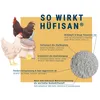 Illustration of chickens and a bag of powder with text explaining the product's benefits. Produktbild-Vorschau