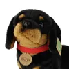 Bassotto Peluche Con Collare 36 Cm Ecologico Anteprima dell’immagine prodotto 8