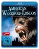 American Werewolf (Special Edition) Náhľad obrázku produktu 4