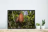 MuchoWow® MuchoWow® Gerahmtes Poster Tropische Farben der Produktbild-Vorschau 4