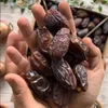 Medjool Datteln 5kg Produktbild-Vorschau 3