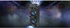 Muse | Partybox | M-1988DJ | Bluetooth | Schwarz | Produktbild-Vorschau 4