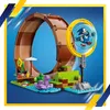 Sonicova smyčková výzva v Green Hill Zone Náhled obrázku produktu 9
