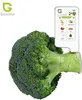 A device is shown next to a head of broccoli. Produktbild-Vorschau
