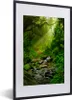 MuchoWow® Gerahmtes Poster Dschungel - Wasser - Laub - Produktbild-Vorschau 1